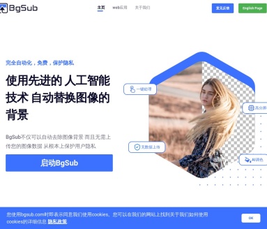 BgSub